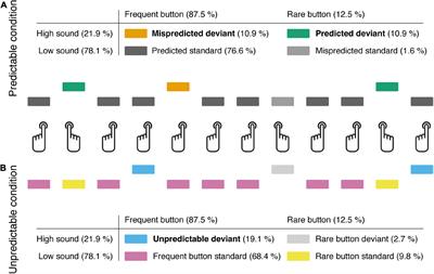 Intention-based predictive information modulates auditory deviance processing